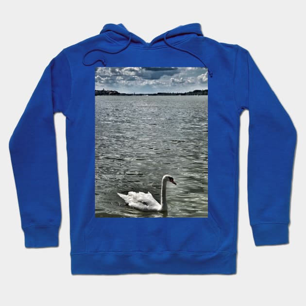 White beautiful swan on Danube river in Belgrade Hoodie by Khala